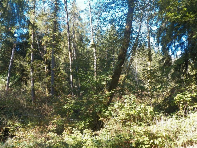 0 Connors Road Snohomish, WA 98290 - Photo 4 of 5