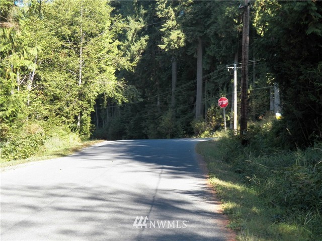 0 Connors Road Snohomish, WA 98290 - Photo 5 of 5
