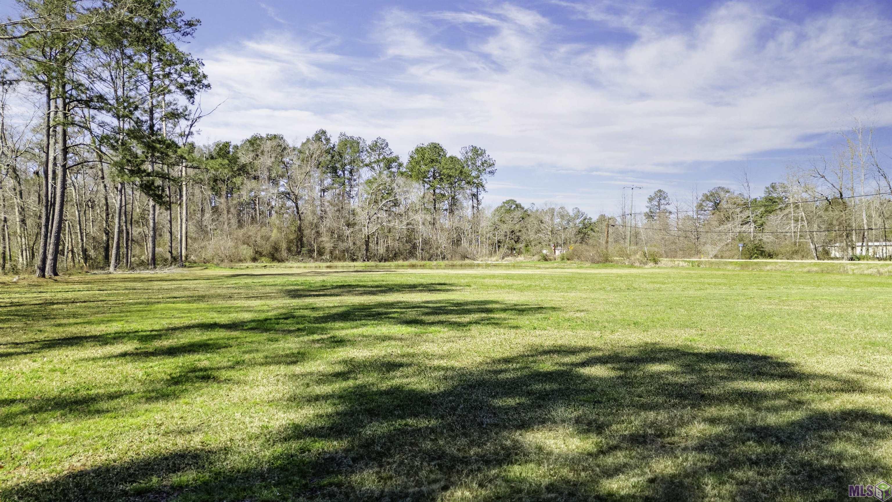 36375 Weiss Road Walker, LA 70785 - Photo 17 of 18