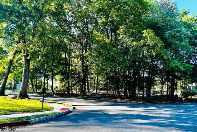a view of a swimming pool with an outdoor space