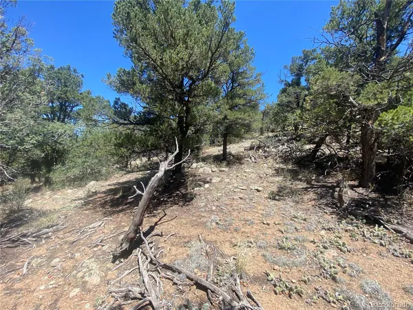 $24,900 | Tr-142 17th Trail, Cotopaxi, CO 81223