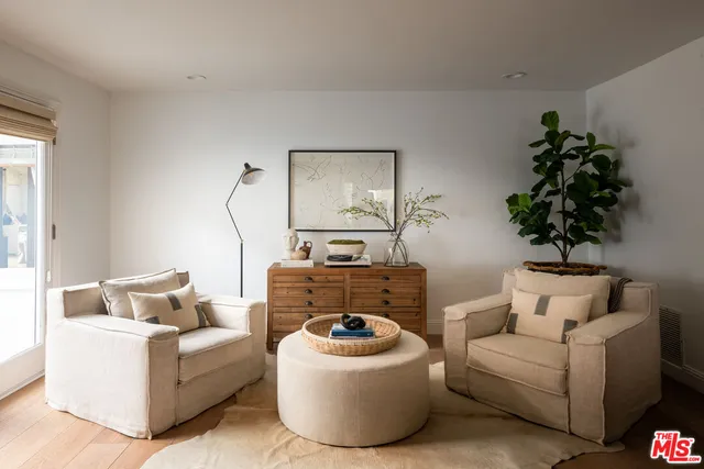 a living room with furniture and a potted plant