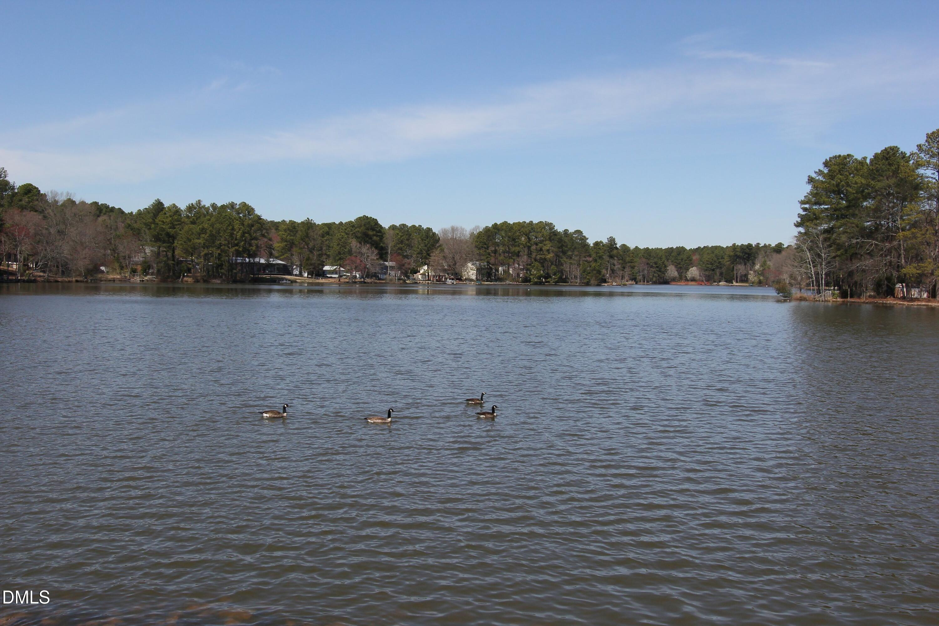 1526 Euclid Road Durham, NC 27713 - Photo 40 of 42 ParkwoodLakeDucks