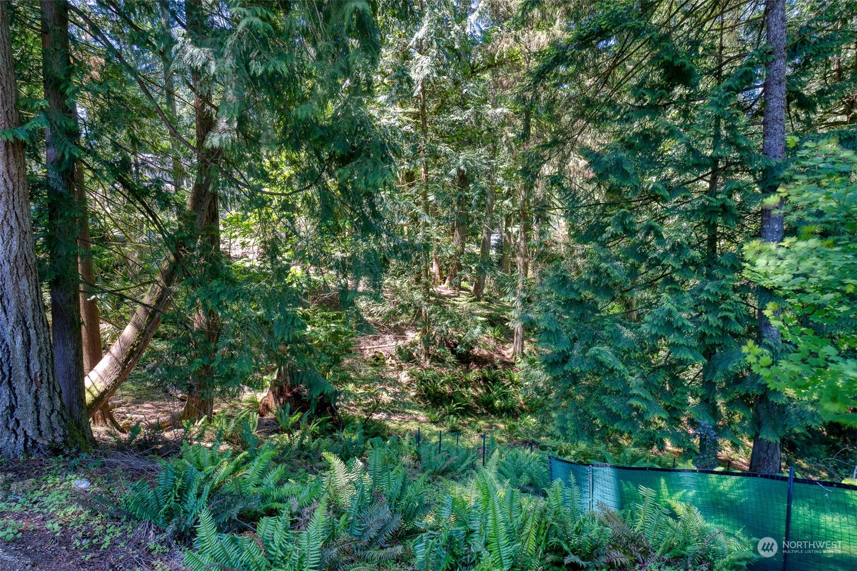 10 Jasper Ridge Lane Bellingham, WA 98229 - Photo 38 of 38 Gallery Image 38