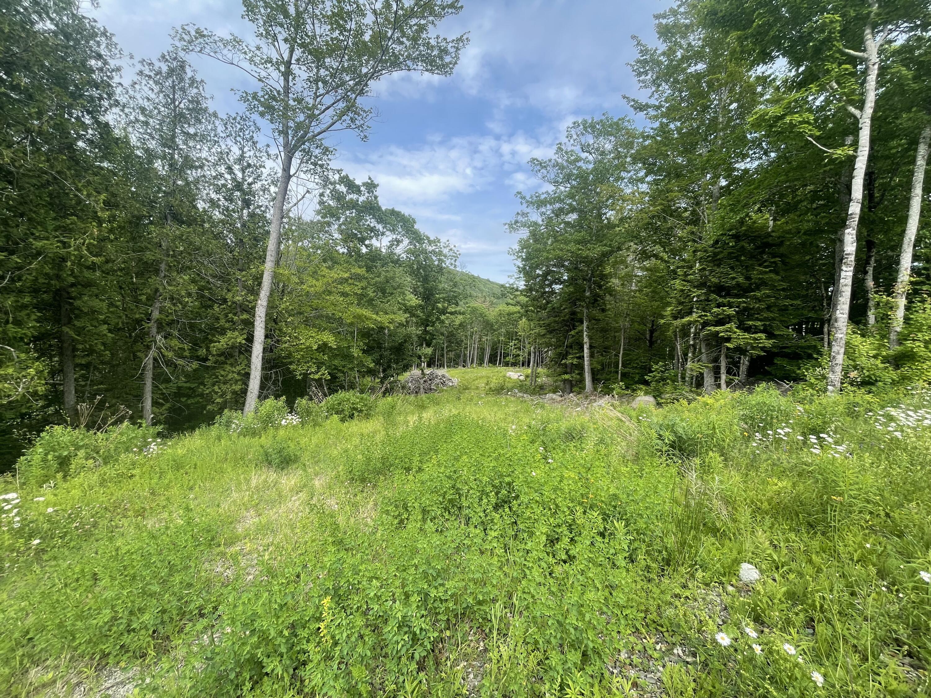 0 Millstream Heights Dedham, ME 04429 - Photo 3 of 5 IMG_7464 2