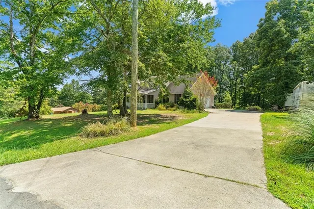 a view of a park with plants and trees