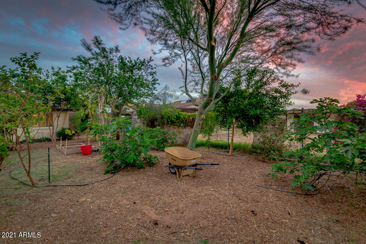 3844 West Bloomfield Road Phoenix, AZ 85029 - Photo 29 of 45 29-Bloomfield