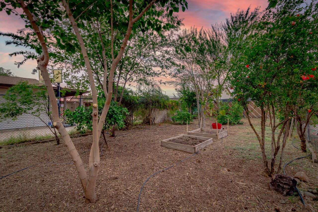 3844 West Bloomfield Road Phoenix, AZ 85029 - Photo 32 of 45 32-Bloomfield