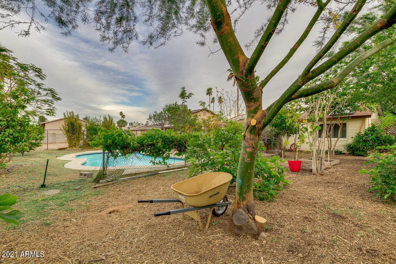 3844 West Bloomfield Road Phoenix, AZ 85029 - Photo 42 of 45 42-Bloomfield