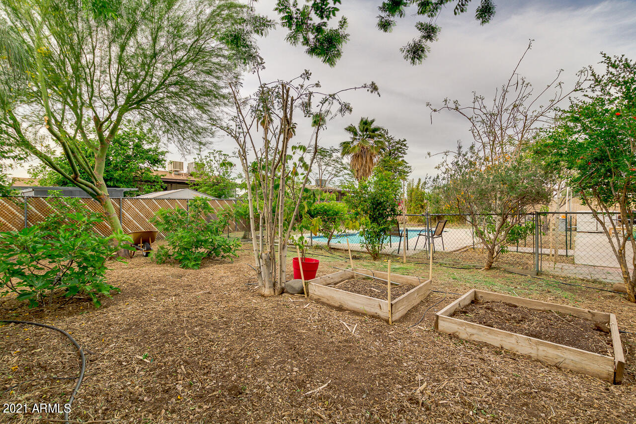 3844 West Bloomfield Road Phoenix, AZ 85029 - Photo 43 of 45 43-Bloomfield