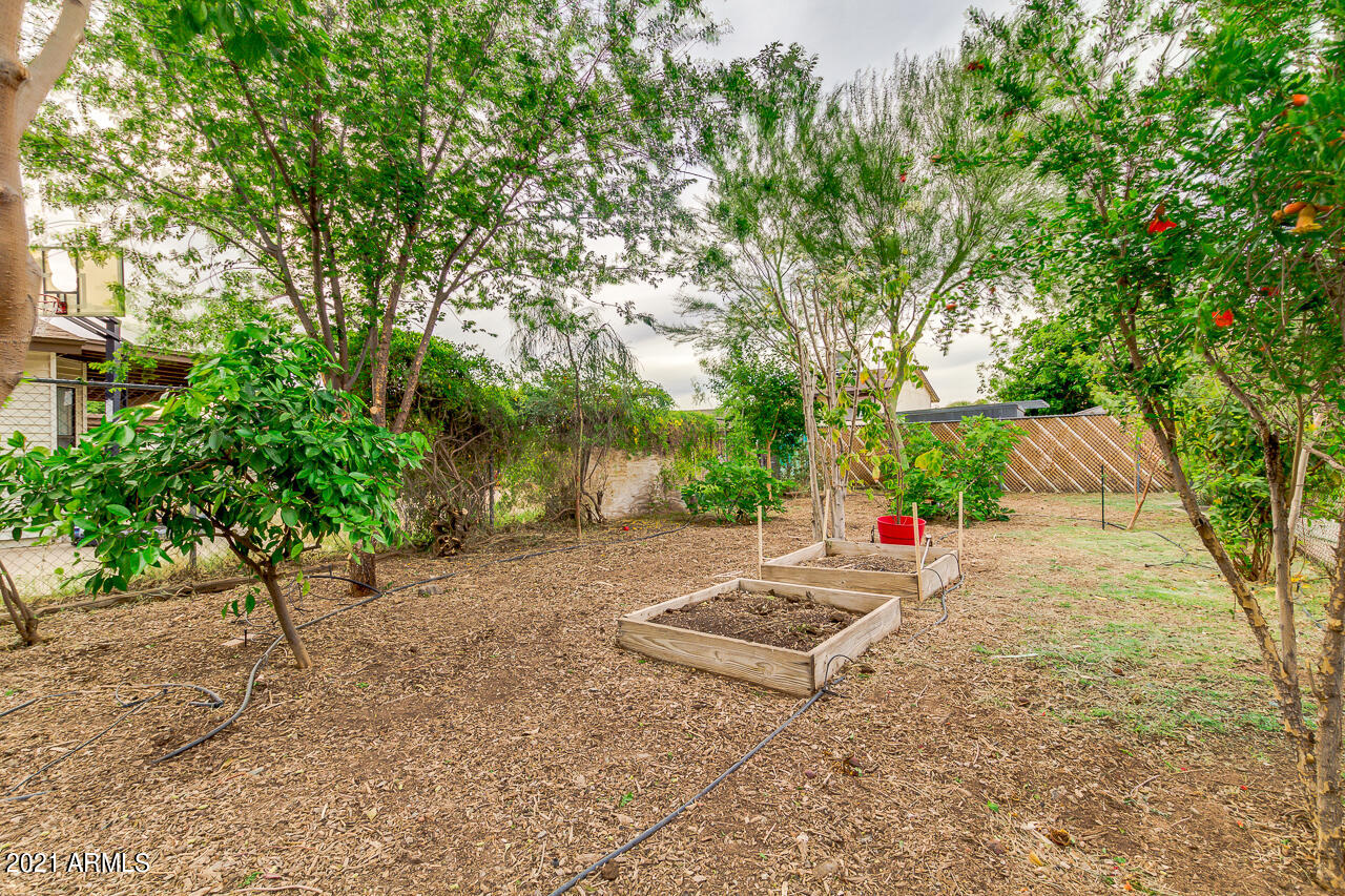 3844 West Bloomfield Road Phoenix, AZ 85029 - Photo 44 of 45 44-Bloomfield