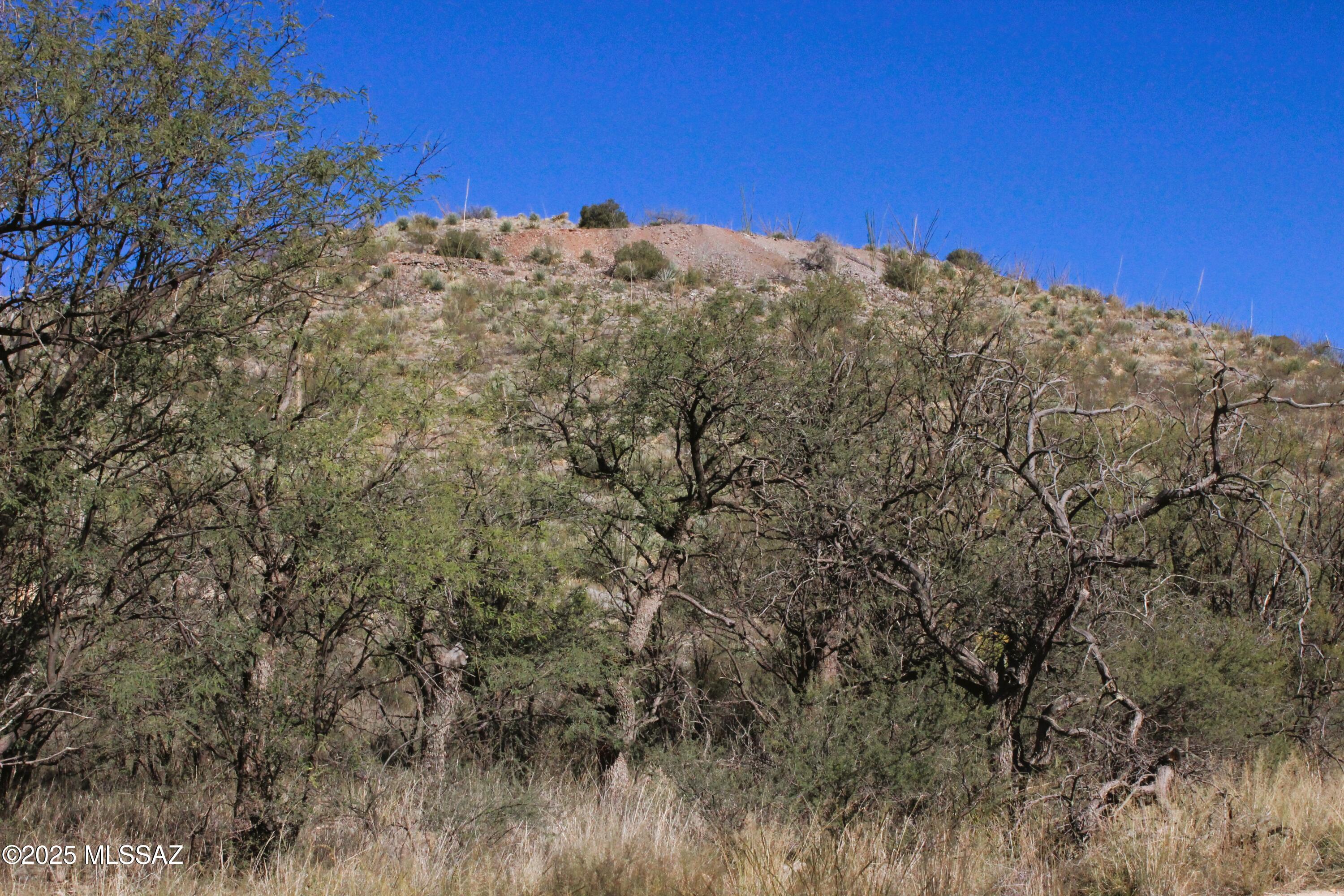 21175 South Red Cloud Mine Road Vail, AZ 85641 - Photo 5 of 9