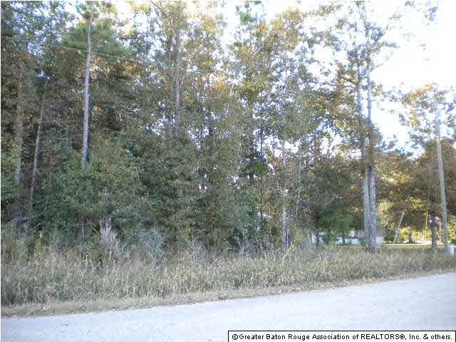 Ae-c Webb Road Denham Springs, LA 70706 - Photo 1 of 9 Gallery Image 1