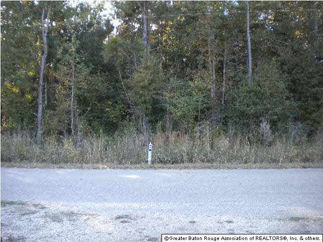 Ae-c Webb Road Denham Springs, LA 70706 - Photo 2 of 9 Gallery Image 2