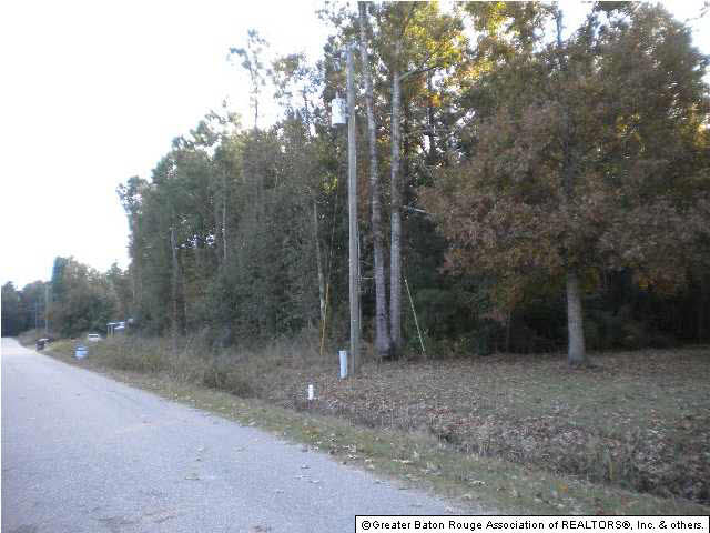 Ae-c Webb Road Denham Springs, LA 70706 - Photo 3 of 9 Gallery Image 3
