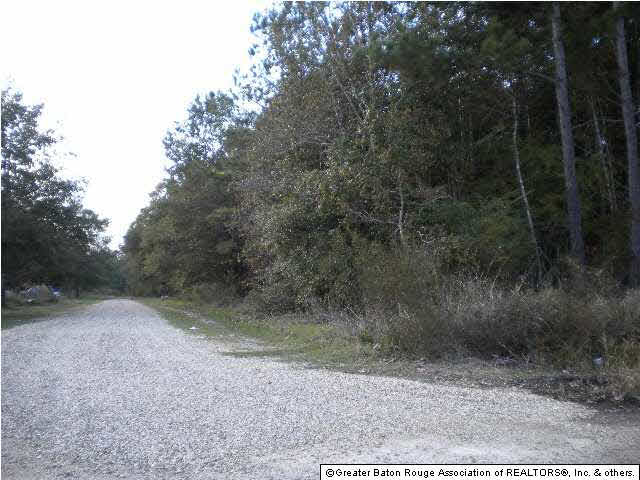 Ae-c Webb Road Denham Springs, LA 70706 - Photo 6 of 9 Gallery Image 6