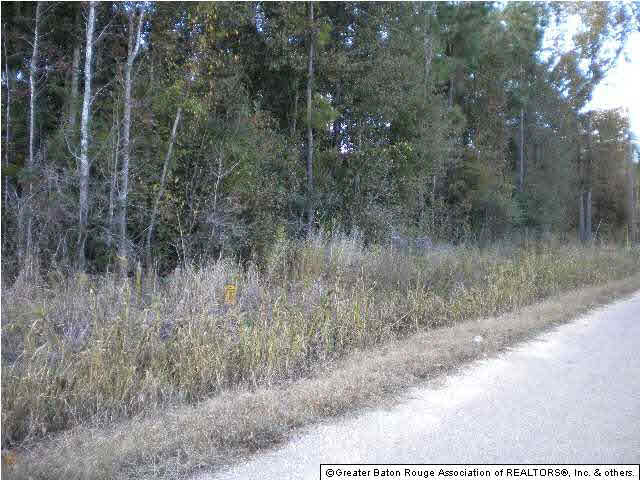 Ae-c Webb Road Denham Springs, LA 70706 - Photo 9 of 9 Gallery Image 9