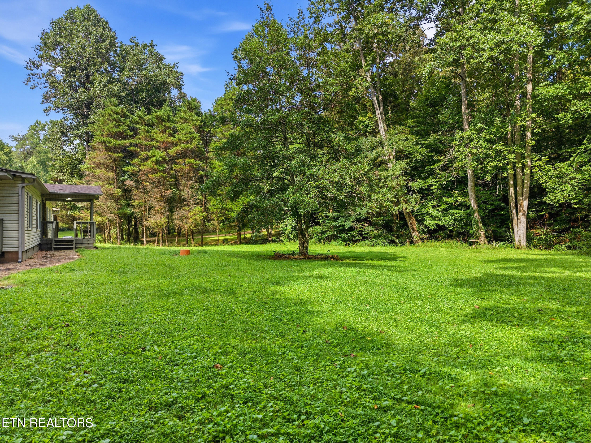 3923 Freels Road Friendsville, TN 37737 - Photo 42 of 43 012