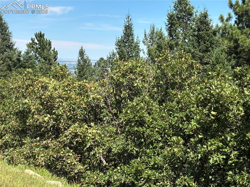 4875 Willow Stone Heights Colorado Springs, CO 80906 - Photo 4 of 8 unknown