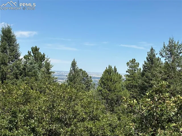 a view of a city with lush green forest