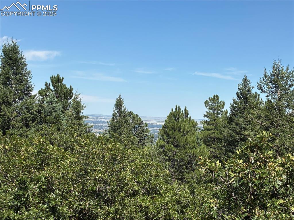 4875 Willow Stone Heights Colorado Springs, CO 80906 - Photo 5 of 8 a view of a field with plants and trees in the background