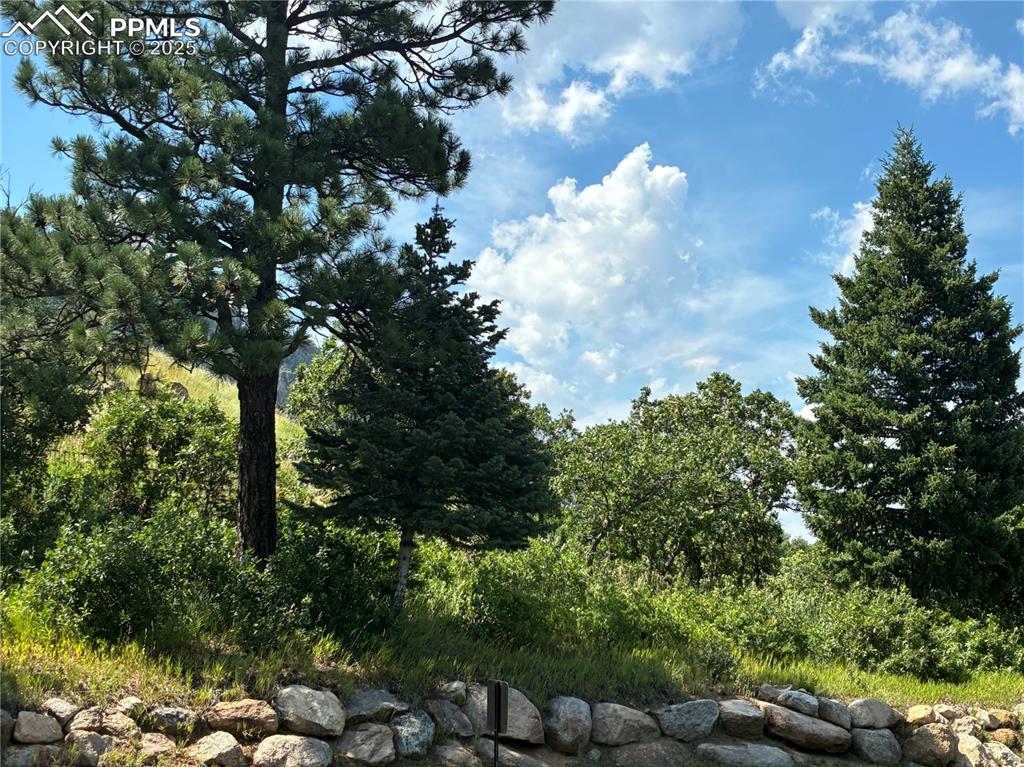 4875 Willow Stone Heights Colorado Springs, CO 80906 - Photo 6 of 8 a view of a city with lush green forest