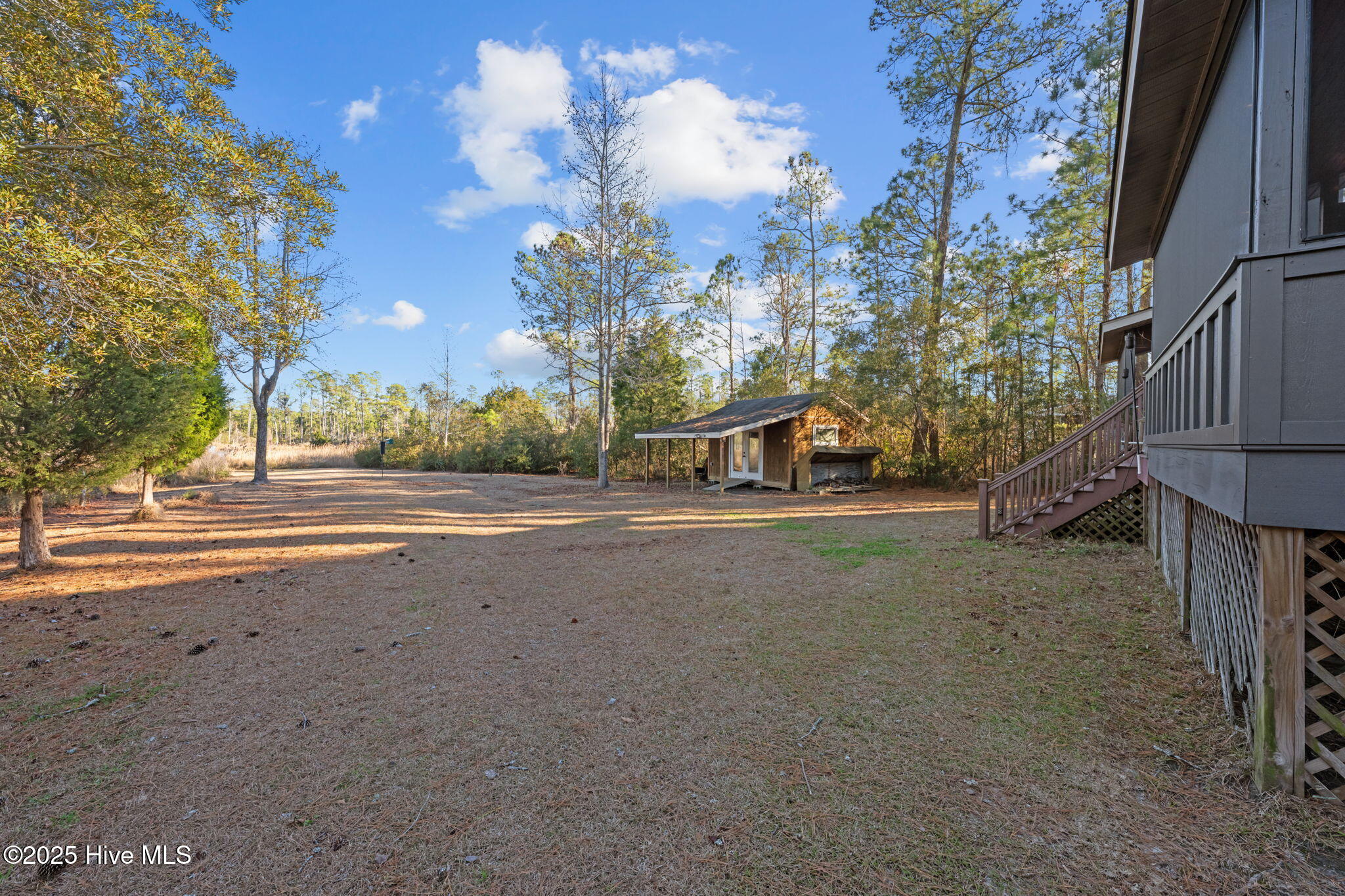 256 Spring Drive Aurora, NC 27806 - Photo 40 of 54 Backyard looking toward the water