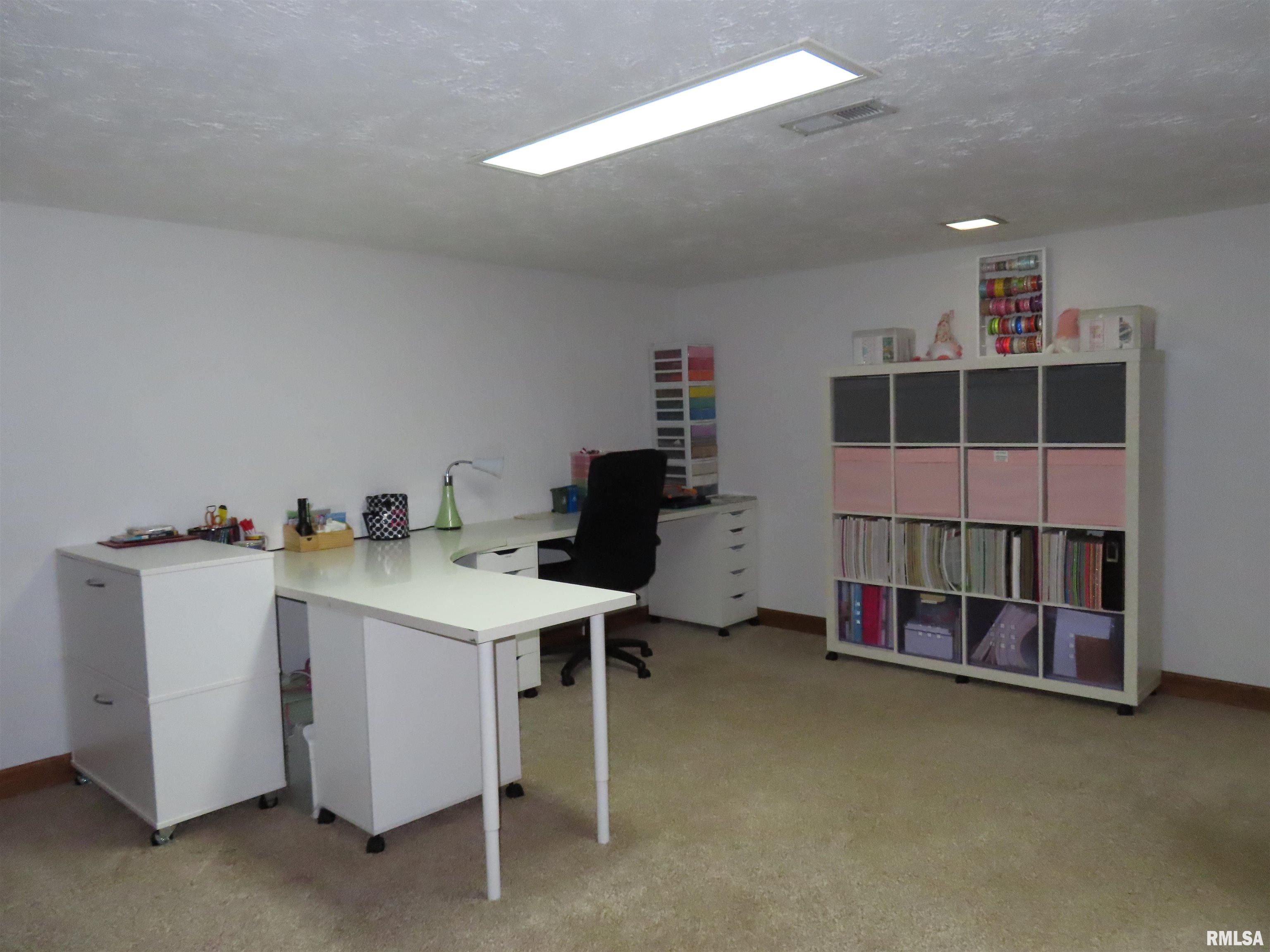 205 South Park Street Alpha, IL 61413 - Photo 46 of 59