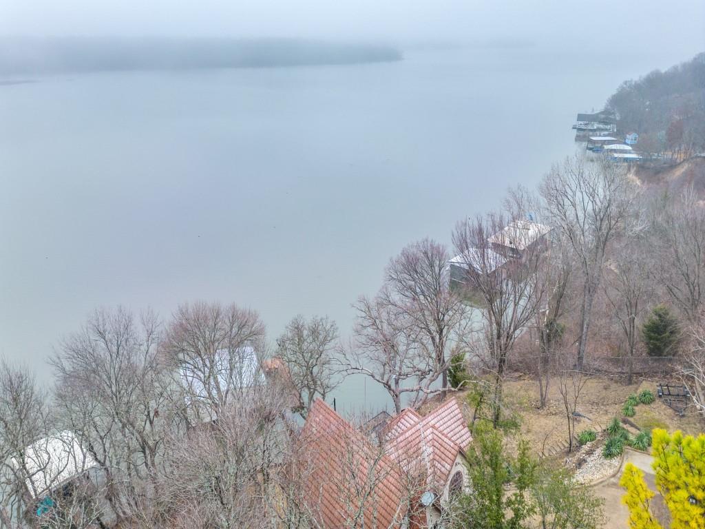 a view of a dry yard with trees