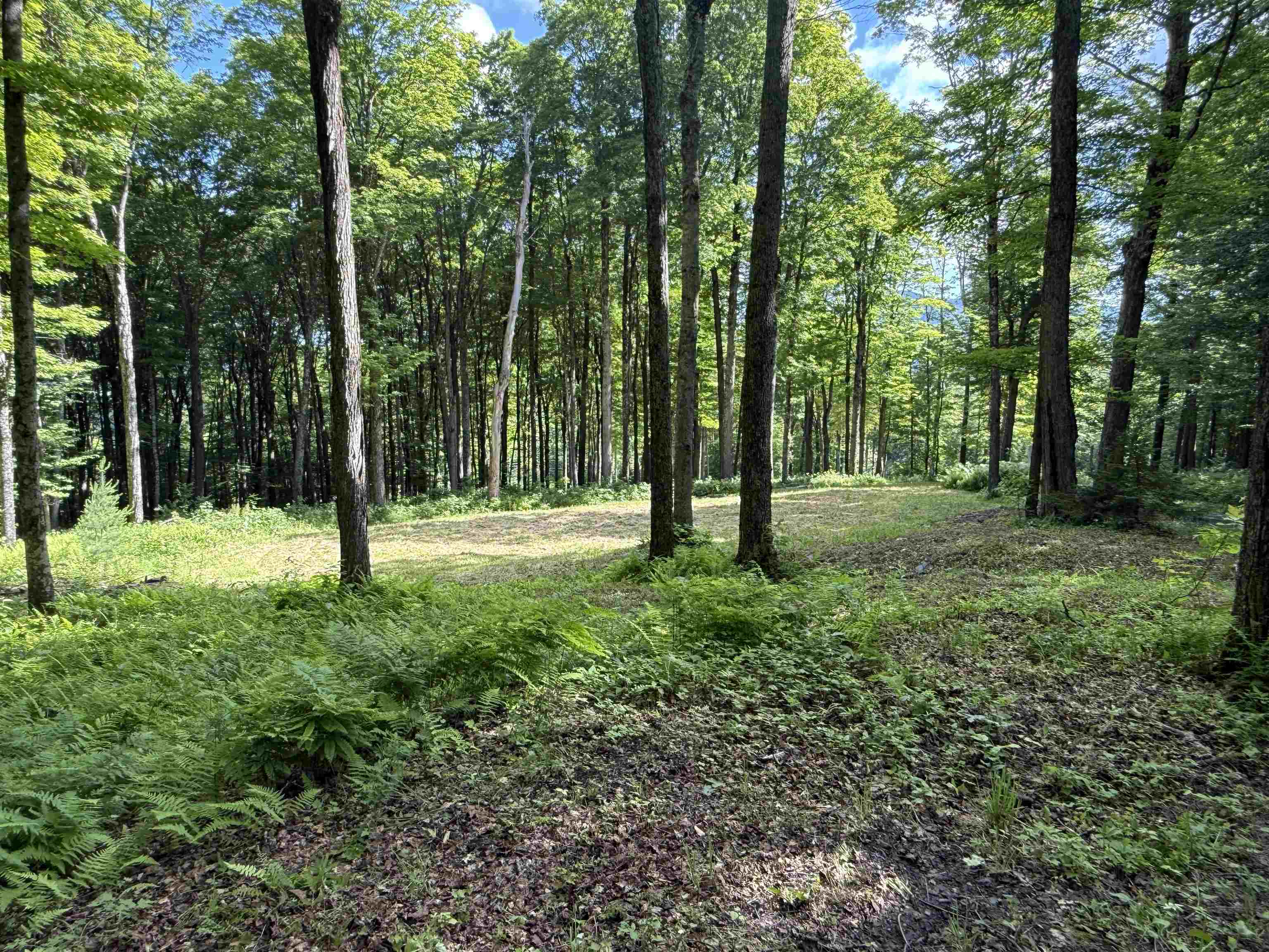 884 Palmer Hill Road Waitsfield, VT 05673 - Photo 39 of 43