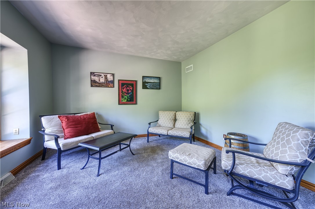 8744 Tippecanoe Road Canfield, OH 44406 - Photo 4 of 46