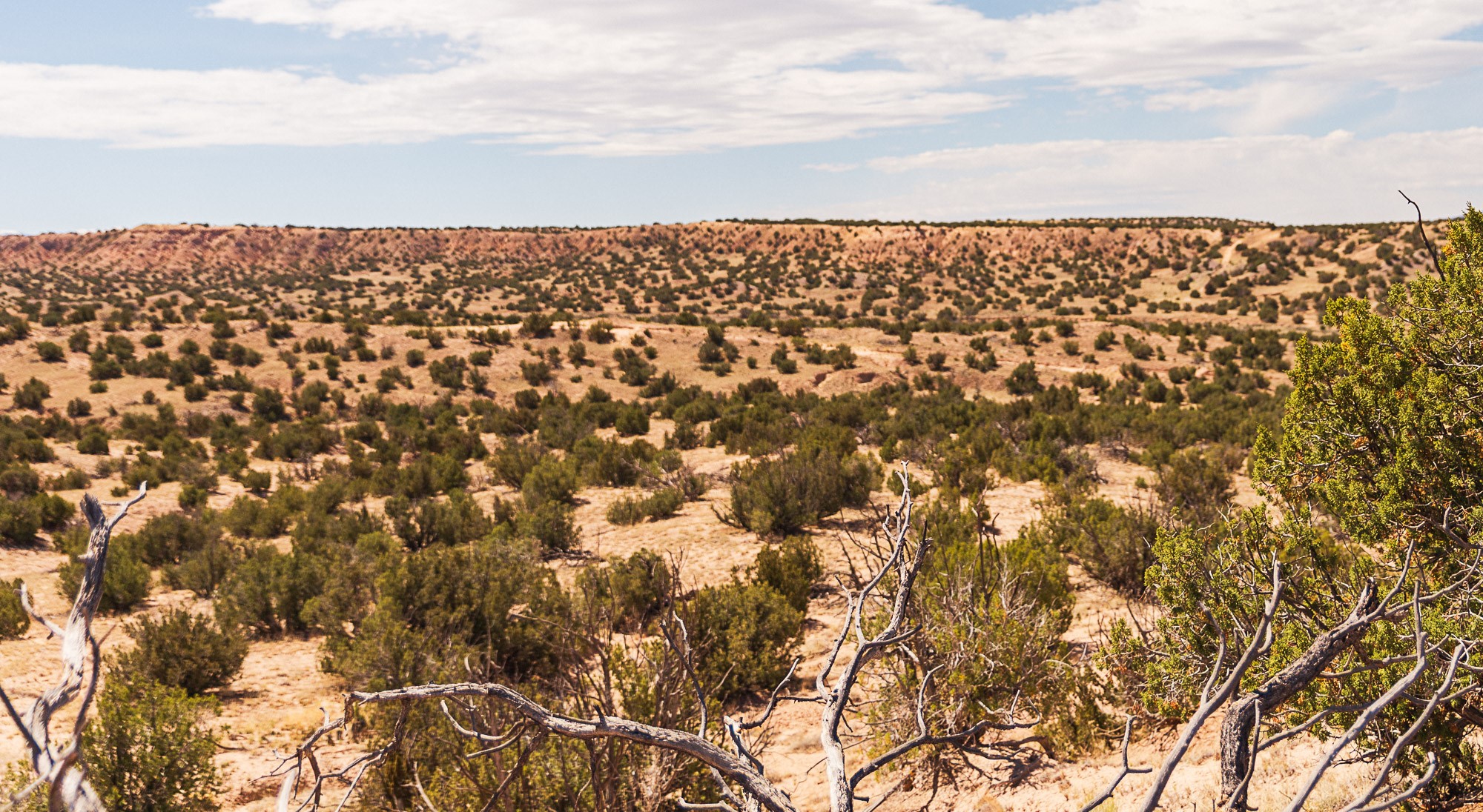 0 El Rito Estates Abiquiu, NM 87510 - Photo 39 of 56