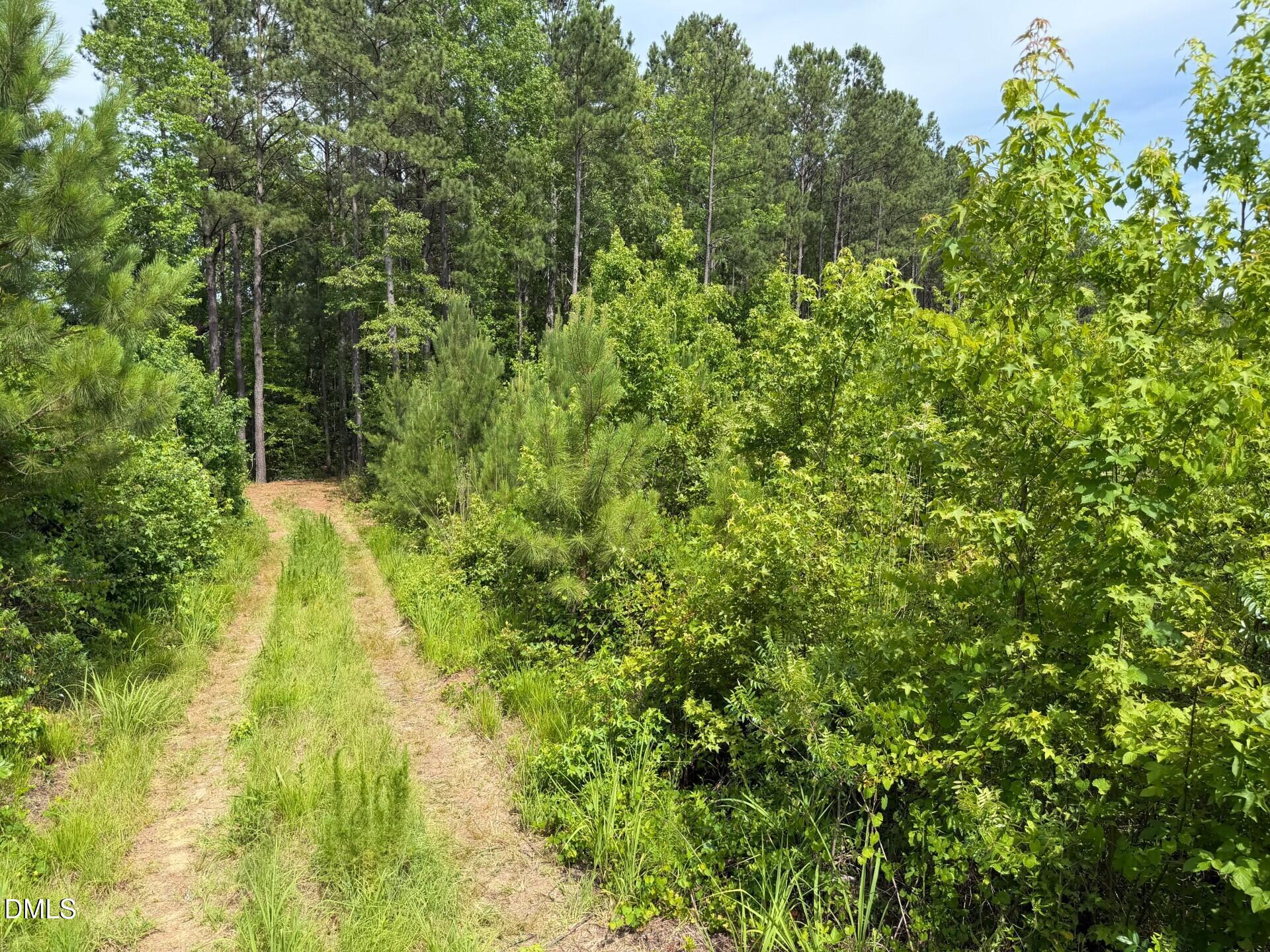 0 John Headen Road Moncure, NC 27559 - Photo 11 of 21