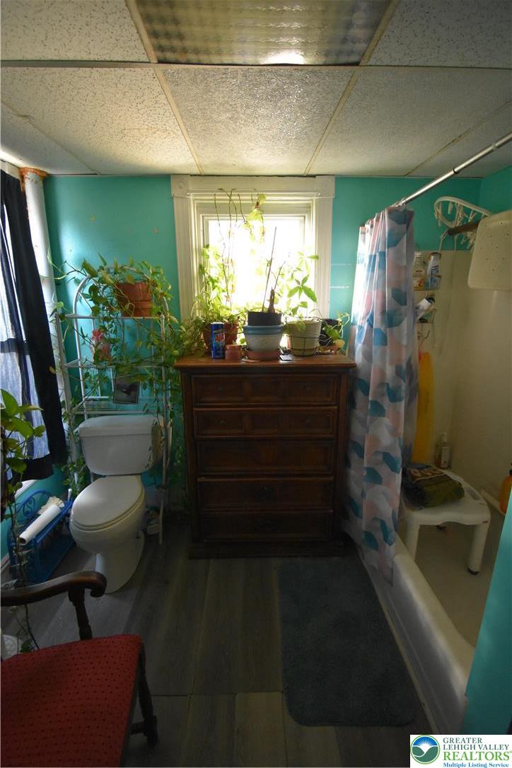 22 South Raspberry Street Easton, PA 18042 - Photo 8 of 16 a room with furniture and a potted plant