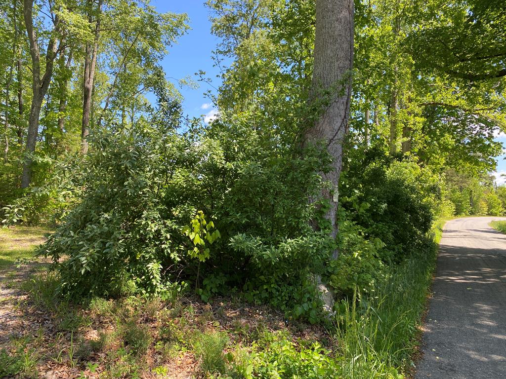 630 Mountain Hall Road, Unit 27D Crewe, VA 23930 - Photo 17 of 39 Gallery Image 17