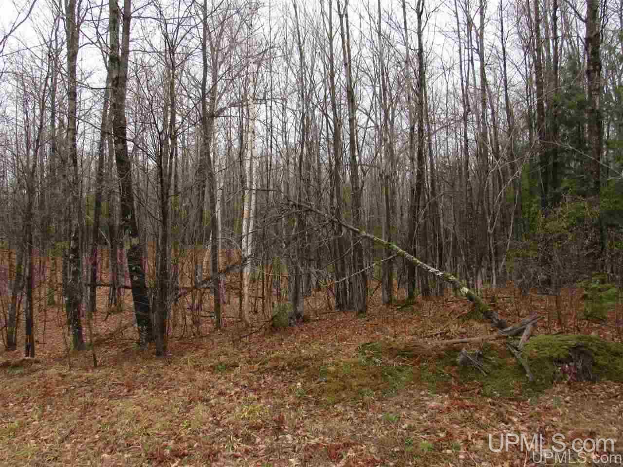 9-acres Usimaki-vuk Road Lanse, MI 49946 - Photo 3 of 6