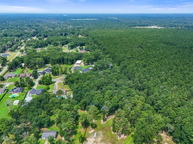 a view of a city with lush green forest