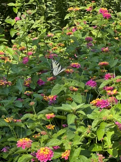 $1,229,000 | 2002 Ashwood Avenue, Nashville, TN 37212