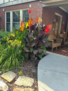 $1,229,000 | 2002 Ashwood Avenue, Nashville, TN 37212