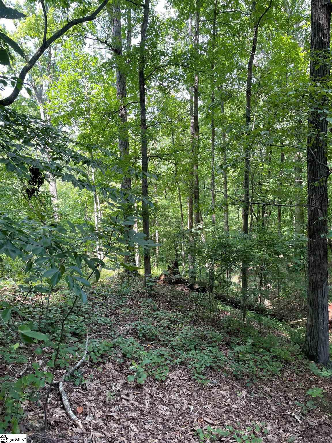 282 Warbranch Road Central, SC 29630 - Photo 25 of 29 Gallery Image 25