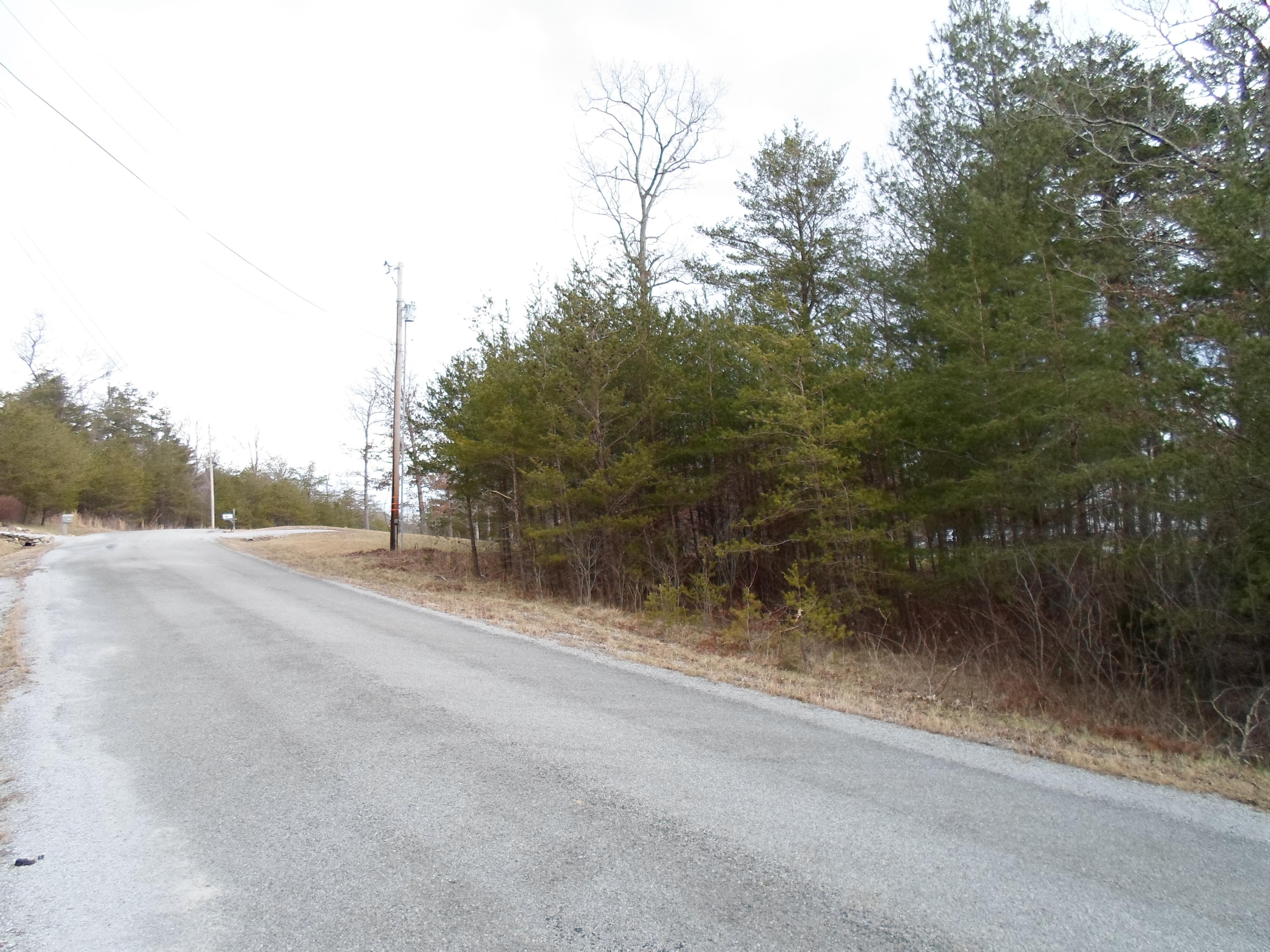 Goodstock Road Crossville, TN 38555 - Photo 8 of 8 SAM_1411