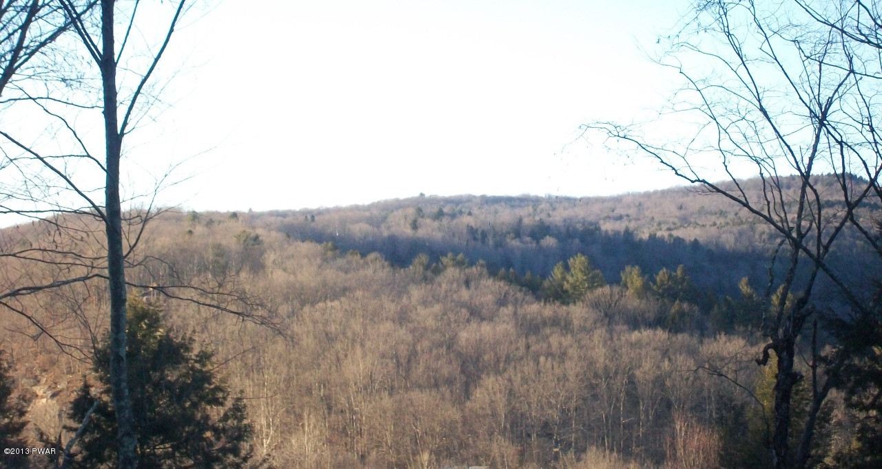 3748 River Road Equinunk, PA 18417 - Photo 7 of 27