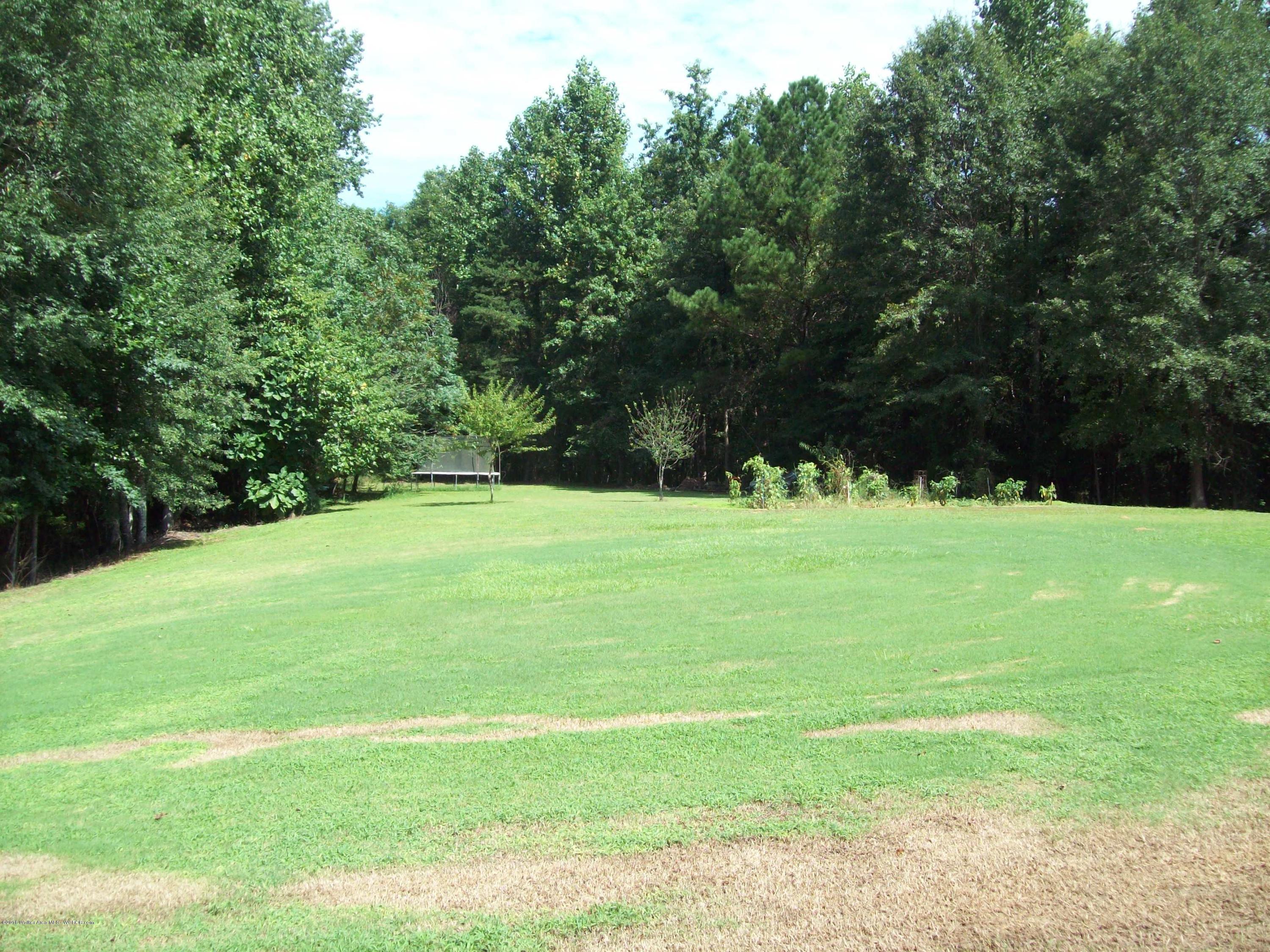 513 Robinson Road Jasper, AL 35504 - Photo 8 of 35 Gallery Image 8