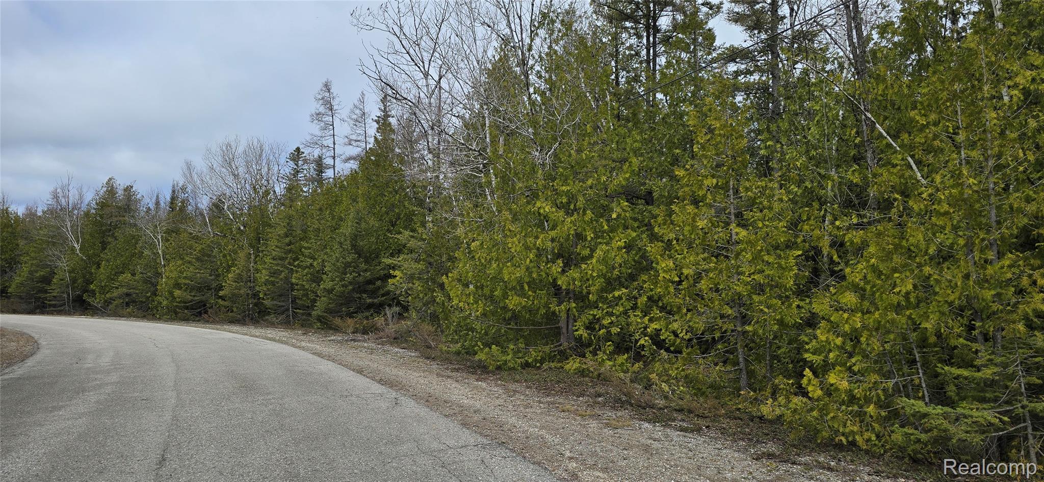 Vl Lot 332 Vl Drive Presque Isle, MI 49777 - Photo 3 of 7 Balsam Drive