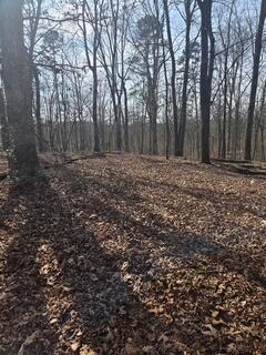 7728 Morgan Estates Road Harrison, TN 37341 - Photo 2 of 2 4171569342864681777