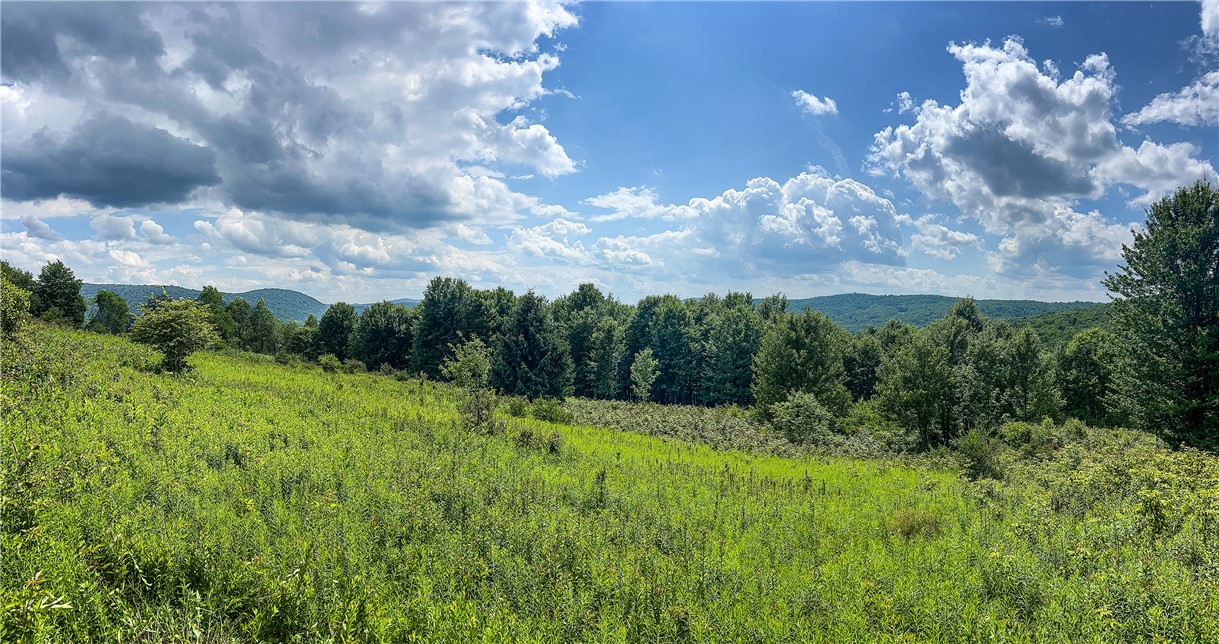 Lot 23 Lynch Road Delhi, NY 13753 - Photo 8 of 50 Gallery Image 8