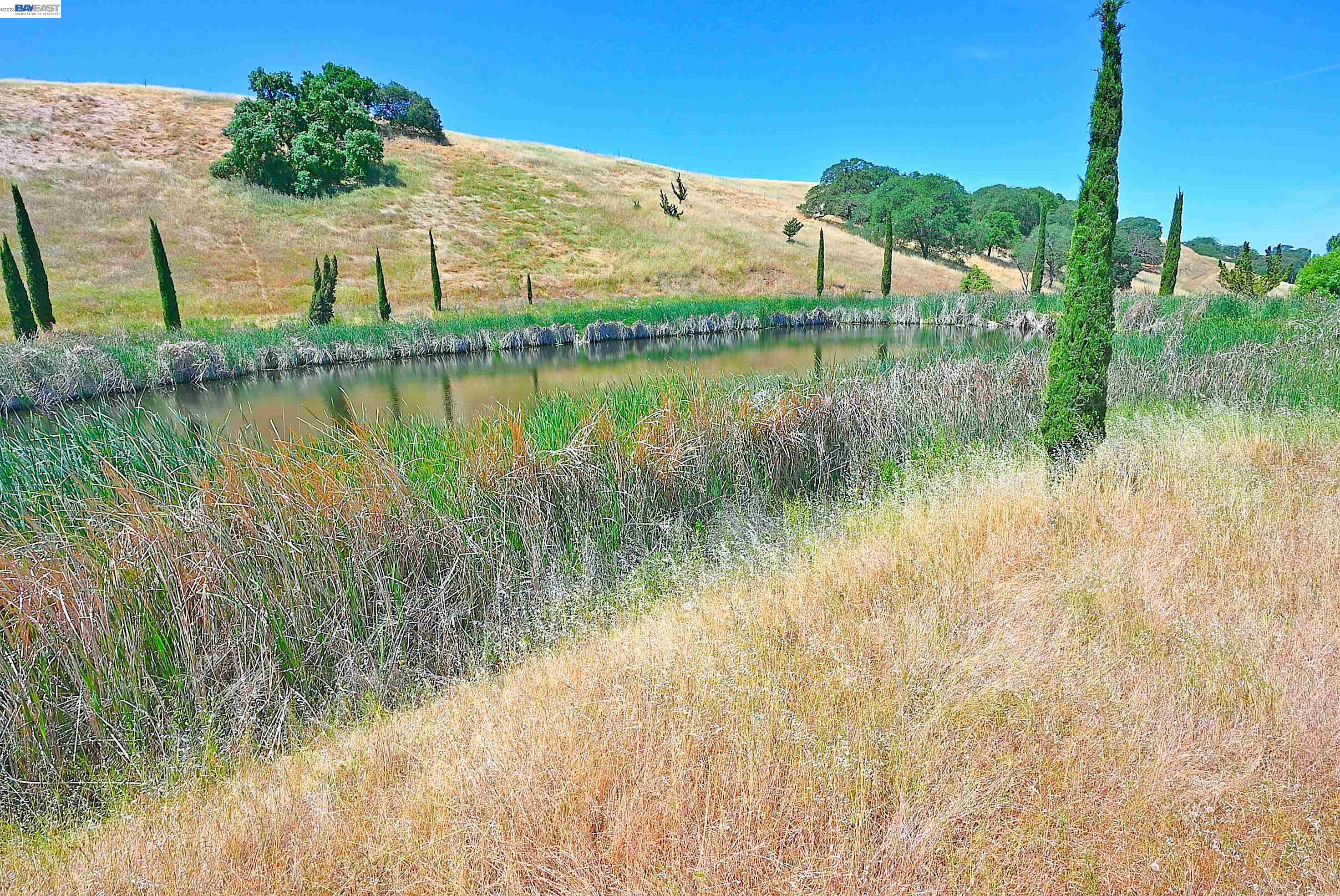 5625 Greenville Road Livermore, CA 94550 - Photo 5 of 24