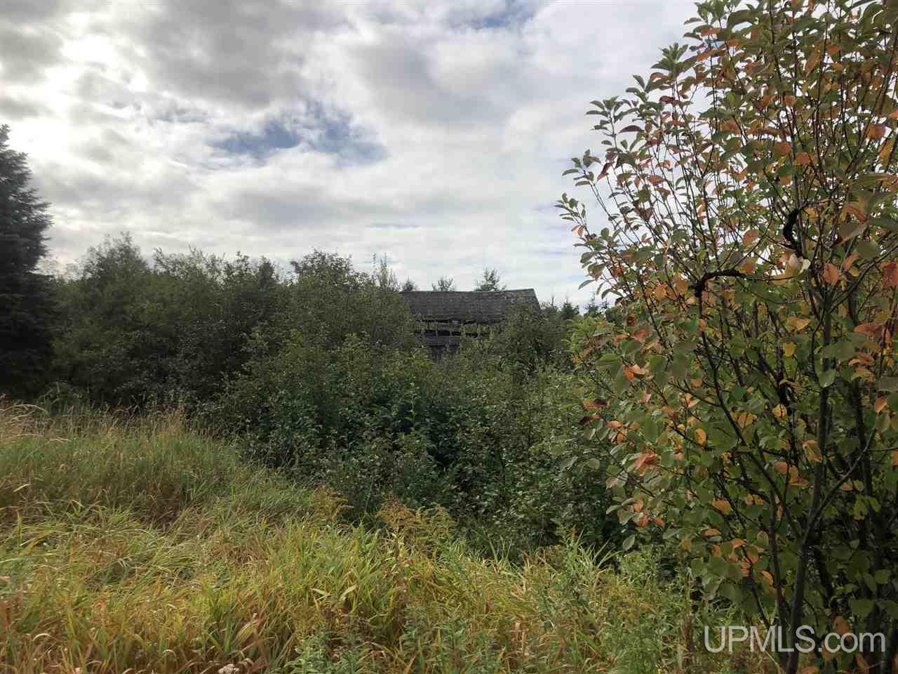 59381 Tamarack Waterworks Road Calumet, MI 49913 - Photo 24 of 31 Gallery Image 24