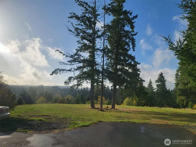 a ground with lots of trees in the background