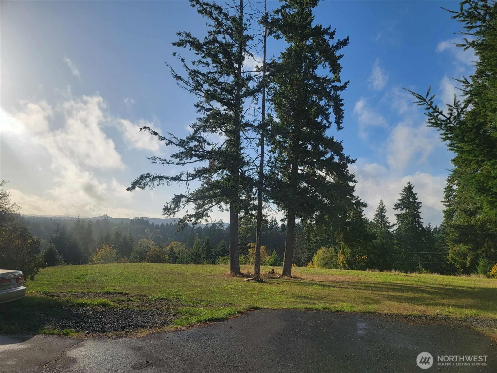 a ground with lots of trees in the background